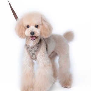 Gucci dog cat pet harness and leash